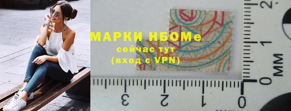 сатива Баксан