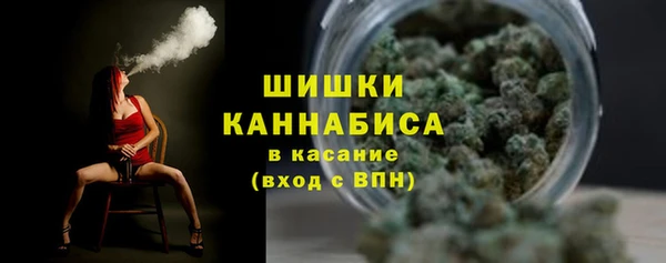 ГАЛЛЮЦИНОГЕННЫЕ ГРИБЫ Арсеньев